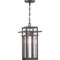 Progress Lighting Boxwood Collection One-Light Hanging Lantern P550039-020 - alternate 4